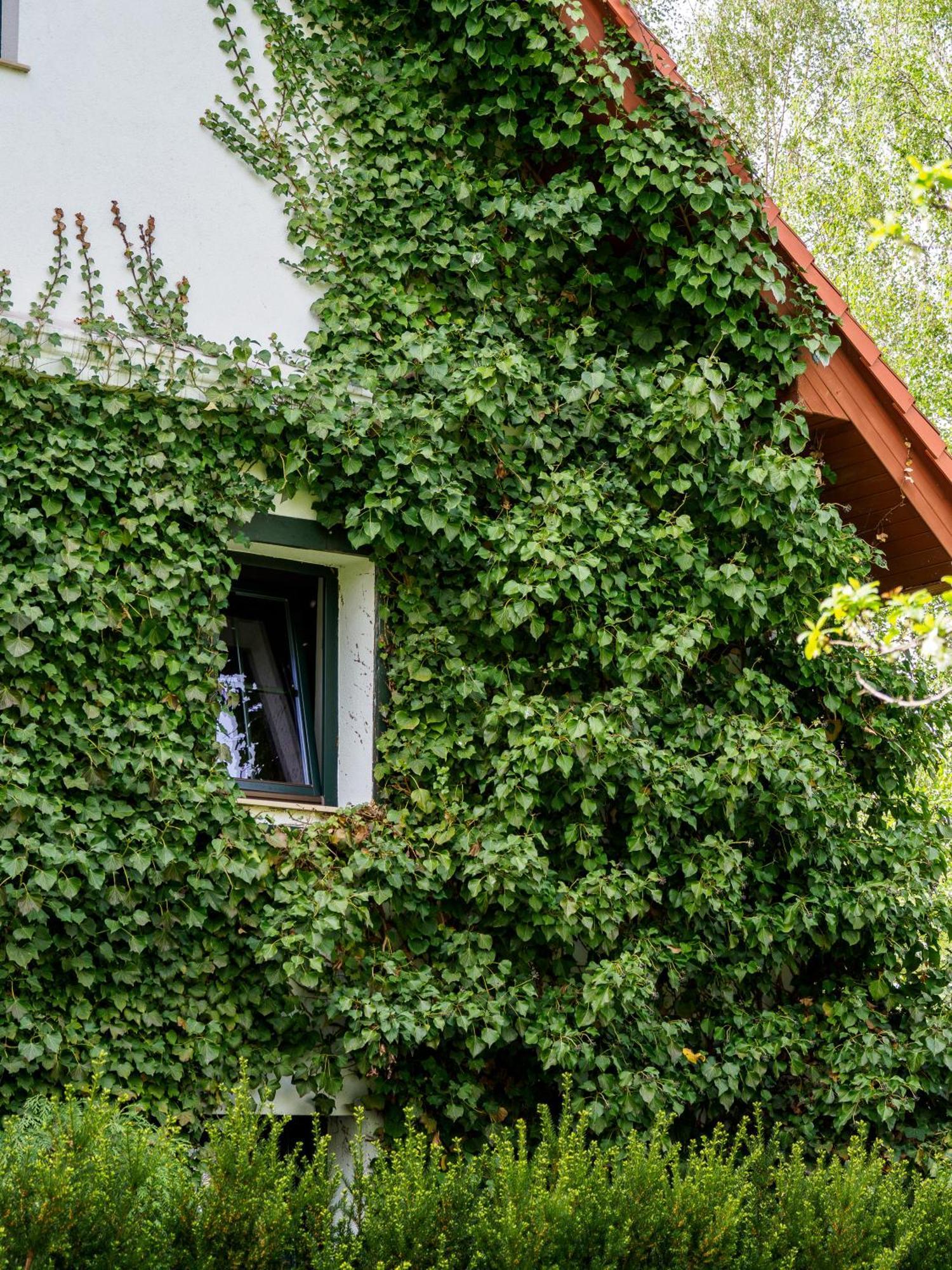 Plonica 1 Hotel Złoty Stok Exterior foto